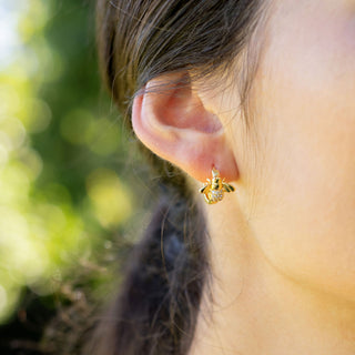 GOLD BEE HUGGIES