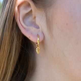 GOLD SHELL HUGGIE CHARM
